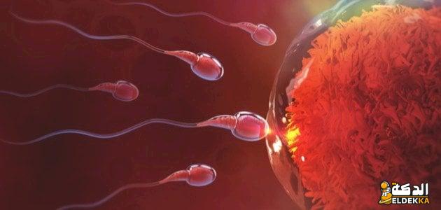 ماذا تشعر المرأة عند تلقيح البويضة؟